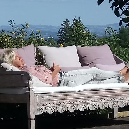 Bed and Breakfast Relais St Jacques - Roanne Saint-Haon-le-Chatel Экстерьер фото
